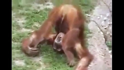 부천출장안마 ξ ΟIΟ~ 2l65~ 2776 부천출장마사지 ㅇㅇㅇ