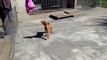 LURON DU CLOS DE LA BEAUME 31/03/2015