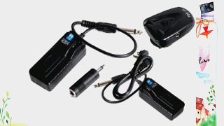 Cowboystudio 4-Channel Radio Remote Trigger with 2 Receivers for Studio Strobe