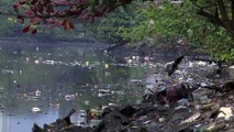 Bakterien und Müll in Olympia-Segel-Bucht in Rio