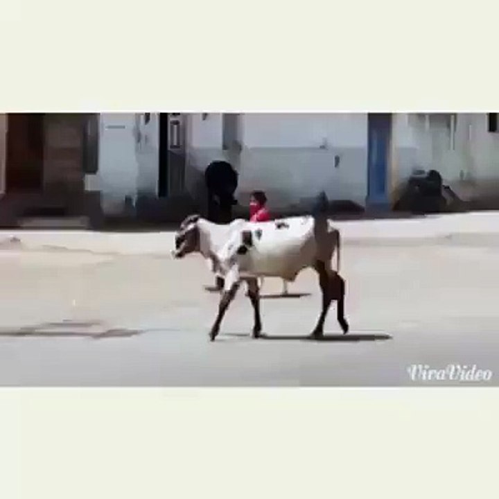 Punjab Police Car in 2015 Latest Model