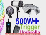 Neewer 500W Professional Photography Studio Strobe Flash Light Kit - 2 Strobe Flashes Stands