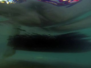 Un poisson nage tranquillement avec la moitié de son corps ...