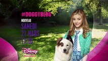 #doggyblog, saison 3 - Samedi 21 mars à 11h05 sur Disney Channel