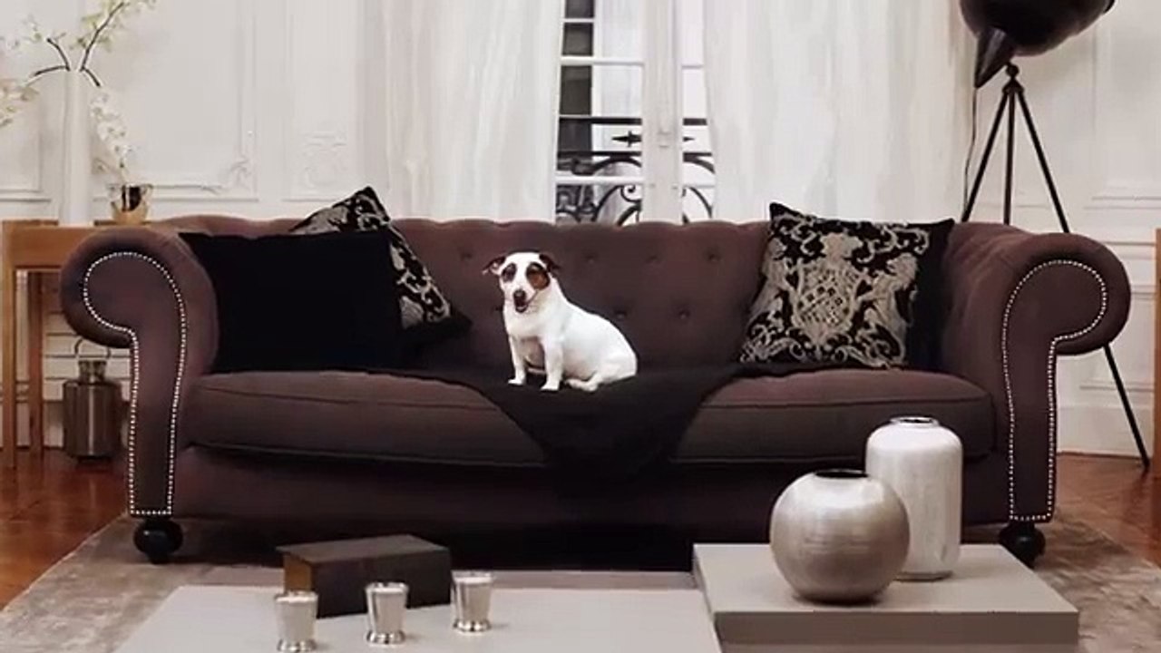 Funny videos - Funny fails - Funny pranks - Funny vines - Best Funny Pranks 2015 new #1 - YouTube