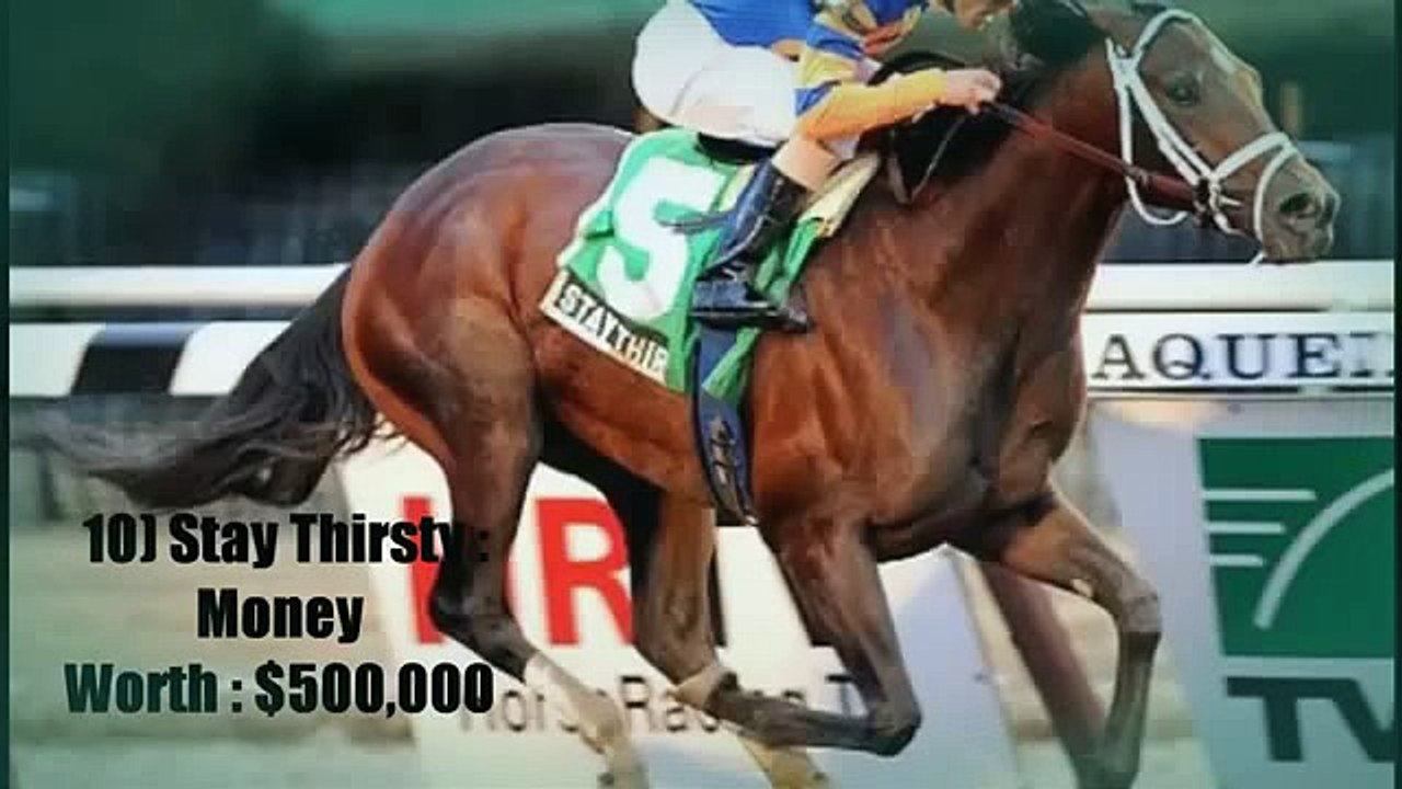 Top 10 Most Expensive Horses in the world 2015