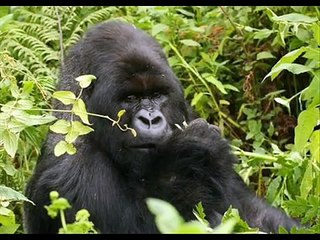 African Ethnic Music