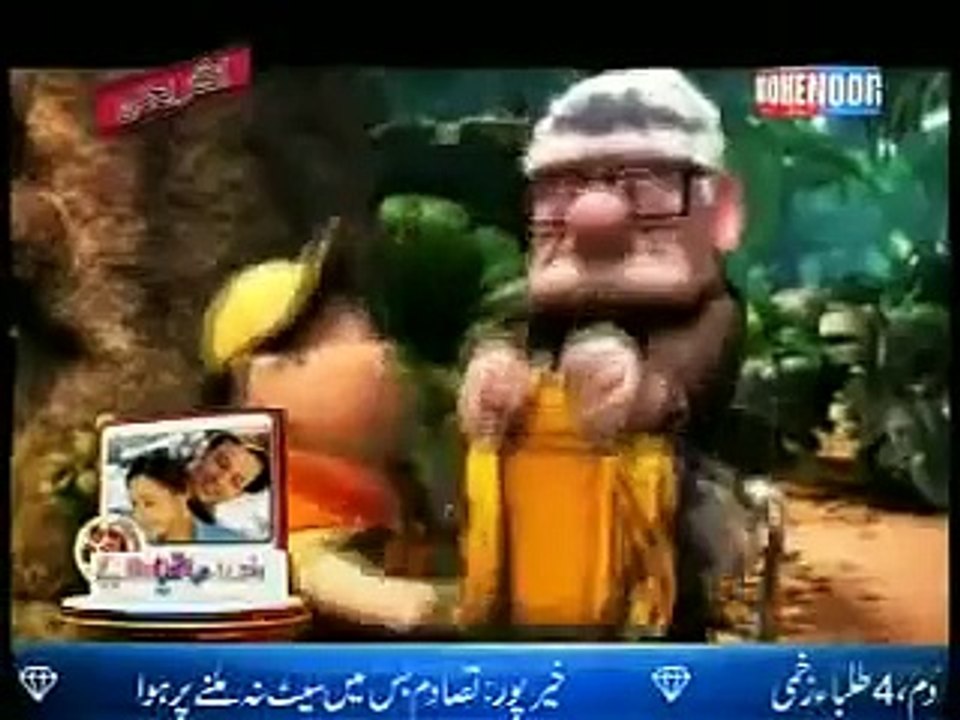 Punjabi Totay funny animal