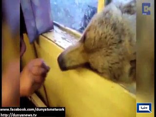 Dunya News - Interesting news from all across the world