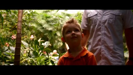 Heaven is for Real Official Trailer #1 (2014) - Greg Kinnear Movie