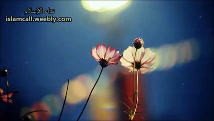 [New] Jamal e Mustafa (S.A.W) - Maulana Tariq Jameel - Video Dailymotion
