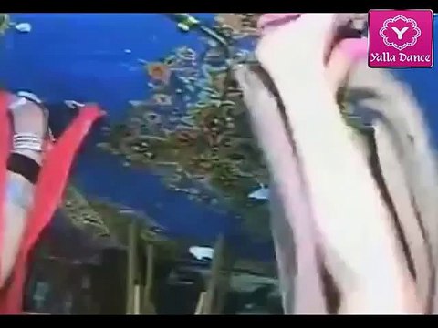 احلى وافجر راقصات الفن الشعبى اجسام نار سكسى ورقص دلع فرح شعبى من الاخر 2014 - Yalla Chaabi