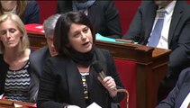 Situation des zones rurales : S. Pinel répond à une QAG