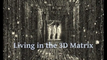 Living In The 3D Matrix - Contradiction (EP. 4)