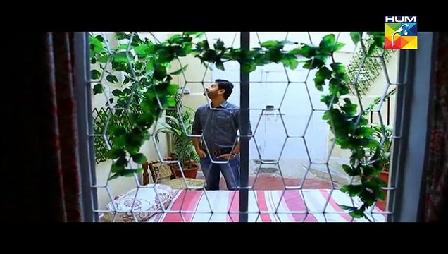 Sartaj Mera Tu Raj Mera Episode 22 Full HUM TV Drama March 31, 2015