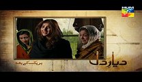 Diyar E Dil Episode 3 on Hum Tv 31 March 2015