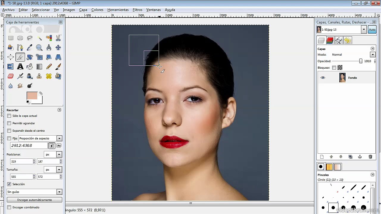 Gimp ES_324_03_01_05