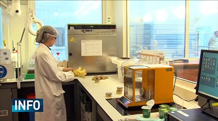 Les débouchés du lait : Des yaourts par milliers