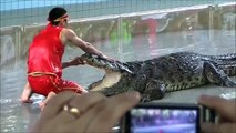 Pattaya Thailand Crocodile Fighting - Animal Fighting Video -
