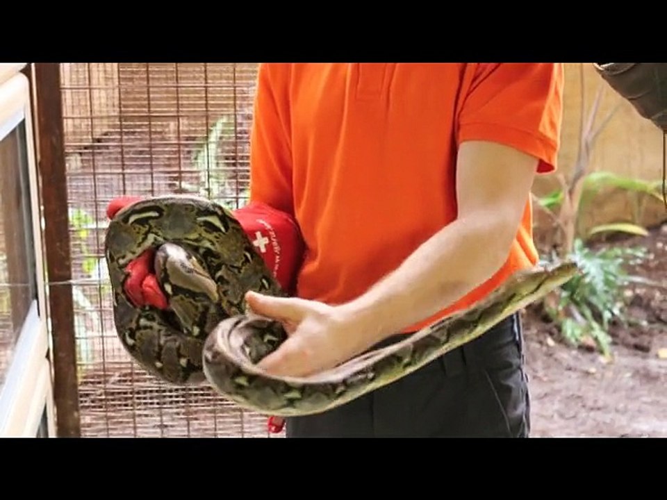 visite de la Ferme aux Crocodiles de Pierrelatte