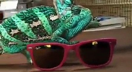 Allah the greatest creator