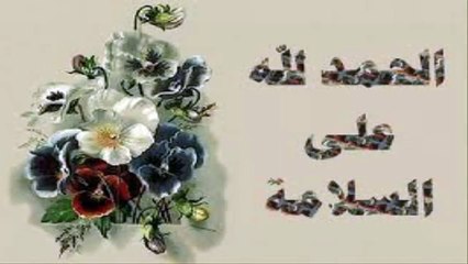 سلامات يا بي كولا