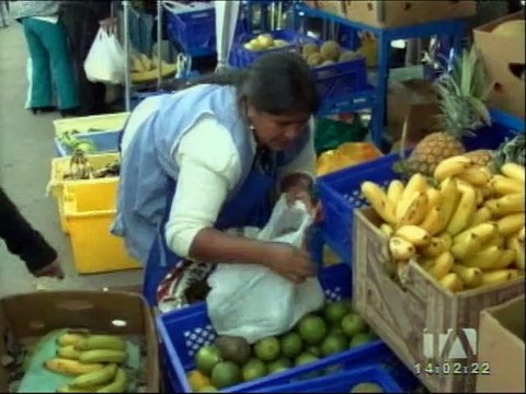 200 agroproductores forman parte de la Feria de emprendedores