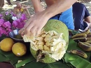Rawfood Vegan Retreat in Australia!