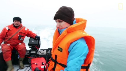 Unexpected Shark Gives Explorer Shock of His Life