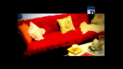 Gjena ke varri nenes 2011