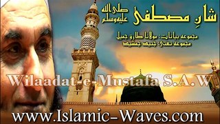 Shan-e-Mustafa S.A.W Maulana Tariq Jameel _ Junaid Jamshed [Rabi ul Awal Special Selection]-SD