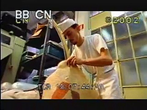 Cocoa Plant Processing - Making Chocolate - Chocolate Factory - Best Shot Footage - Stock Footage