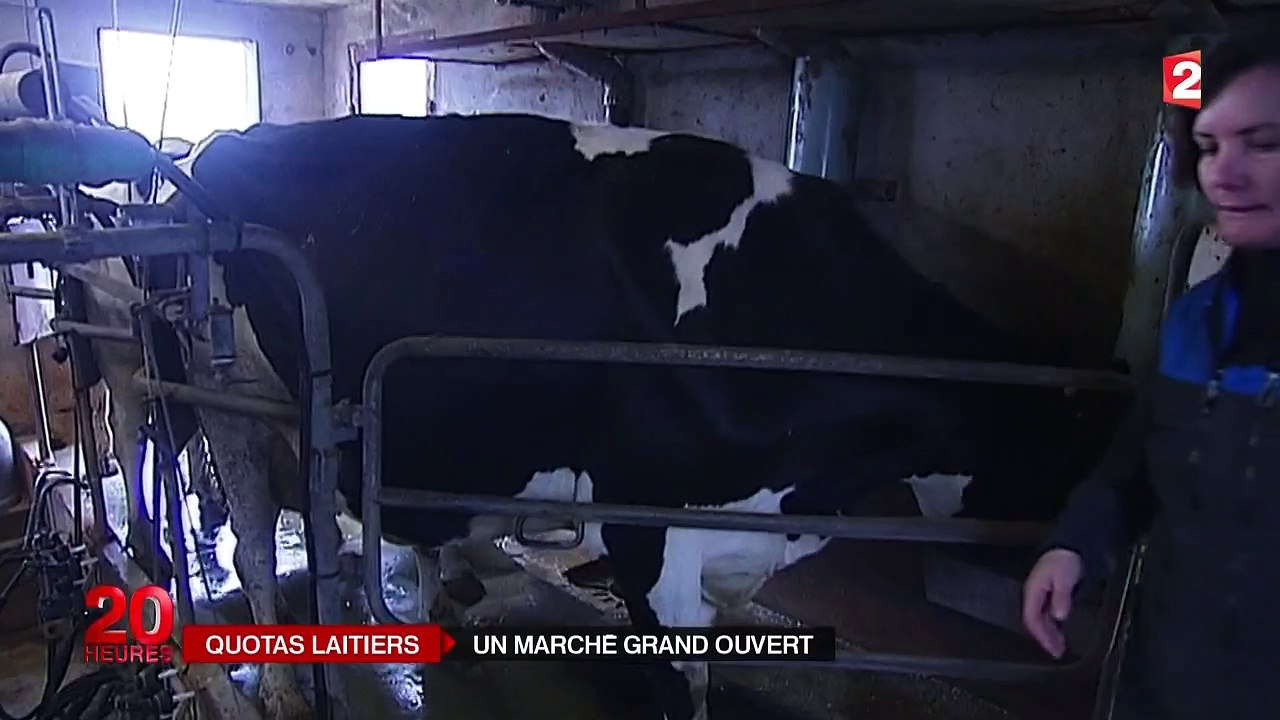 Les quotas laitiers disparaissent au 1er avril