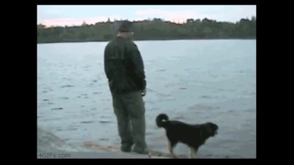 When people are bad to animals and get their comeuppance