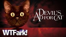DEVIL'S AD FOR CAT: A Japanese Company Advertises With A Giant Pettable Cat Head