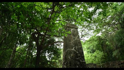 ST. JOHN  / U.S. VIRGIN ISLANDS in 4K (Ultra HD)