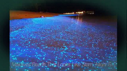 17 Of The Most Unusual Beaches Around The World