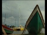 Martinique: l'île aux fleurs