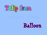 Tulip balloon flower. Balloon tulip. How to make tulip balloon twist