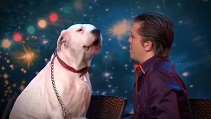 Perro cantando Whitney Houston en show de talento