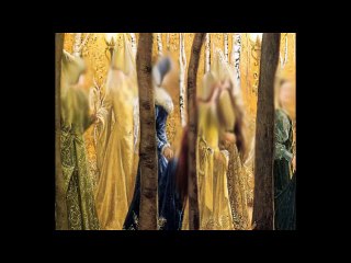 The fallacy of the Hareem (urdu subtitles)