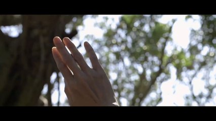 STILL THE WATER - Bande-annonce