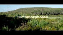 MÉTAMORPHOSES - Bande-annonce