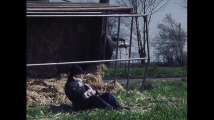 MOUTON - Bande-annonce