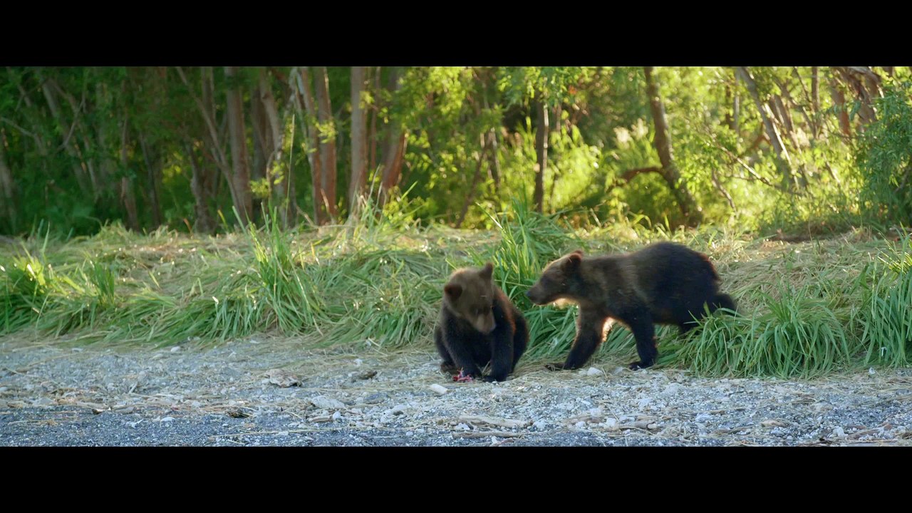 TERRE DES OURS - Bande-annonce