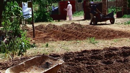 PIERRE RABHI AU NOM DE LA TERRE - Bande-annonce