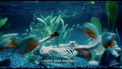 TWELVE - Bande-annonce