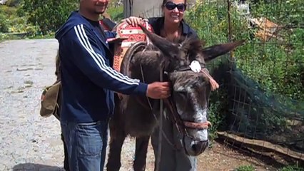 Greece Vacation | Adventures by Disney | Disney Parks