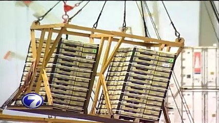 Sindicatos piden al presidente anular el contrato para el nuevo puerto de Moín