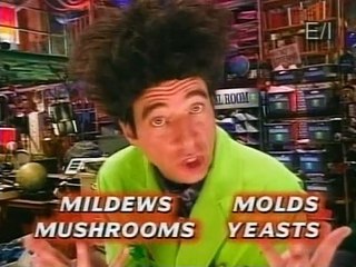 Beakman's World - 2x22 - Mold,Beakmania & Caves